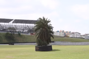 Pinheirinho do Autódromo de Interlagos