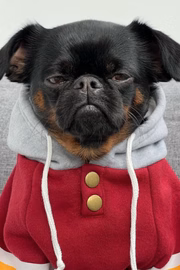 Charlie Griffon