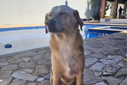Trude em frente à piscina 