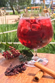O Kioskids, do Pontão do Lago Sul, oferece o Congresso (R$ 25), com blend de chás de hibisco, maçã, cravo e canela, gin, xarope de framboesa e gelo
