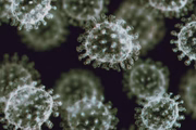 Até o momento, não há muitas informações sobre a variante na prática. Porém, pesquisadores da África do Sul acreditam que o risco de reinfecção aumenta 2,4 vezes em quem teve Covid-19
