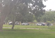 Imagem registrada por Jussara Lima, moradora da Asa Sul, que estava caminhando no parque