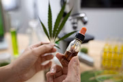 Segundo especialistas, a cannabis tem substâncias, como os canabinoides, capazes de agir e desencadear reações em diversas áreas do corpo, como o cérebro Segundo especialistas, a cannabis tem substâncias, como os canabinoides, capazes de agir e desencadear reações em diversas áreas do corpo, como o cérebro