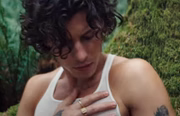 Shawn Mendes em Wonder