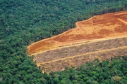 Amazônia