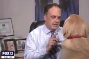 Brody chamou a atenção do dono durante a live