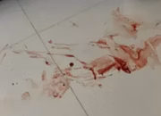 Sangue na casa da deputada federal Joice Hasselmann