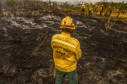 Combate ao fogo no Pantanal exige que brigadistas tenham resistência 