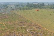 Área desmatada em Porto Velho, Rondônia