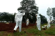 Goiás vive pico da pandemia. Mais de 95% das 246 cidades do estado estão em situação de calamidade