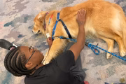 Inicialmente, ele era cão de suporte apenas da sua tutora