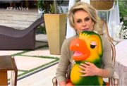 Anos depois, Ana Maria Braga teve a ideia de criar um personagem que interagisse com ela durante o programa. Surgia, então, o Louro José. O personagem, que Veiga deu vida, foi inspirado em um papagaio de estimação que Ana Maria Braga tinha. O nome do fantoche é uma homenagem ao pai da apresentadora
