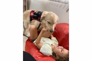 Pipo brinca com Maia