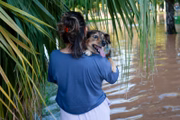 Pessoas socorrem animais após a enchente do Rio Guaíba inundarem as ruas da cidade de Porto Alegre no Rio Grande do Sul