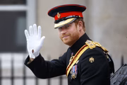 Príncipe Harry deixou a família real 