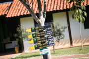 Trilhas da Floresta Nacional de Brasília