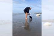 Evan Cooper acompanhou o filhote Shaggy em sua primeira ida à praia