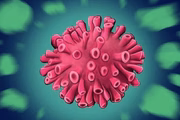 De acordo com a Organização Mundial da Saúde, a subvariante é mais difícil de ser identificada em testes de sequenciamento genômico. Segundo a OMS, que realiza o monitoramento constante da evolução do SARS-CoV-2, até o momento não foi possível estabelecer como e onde as subvariantes da Ômicron se originaram e evoluíram
