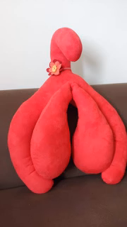 Também é possível dormir abraçada com uma almofada com formato de clitóris