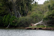 Áreas que não passaram por desobstrução também carecem de melhorias no Lago Norte
