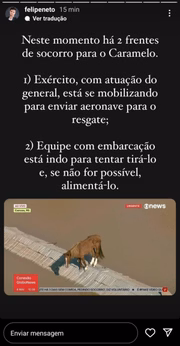 Felipe Neto mobiliza ajuda para salvar cavalo isolado em telhado no RS