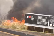 Incêndio atinge mata em trecho de estrada entre Boa Esperança do Sul e Dourado, interior de SP