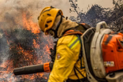 Pantanal já tem milhares de focos de incêndio