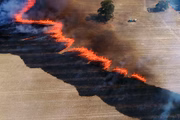 Inpe alerta para o aumento de queimadas devido ao El Niño