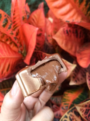Detalhe da flor recheada de nutella
