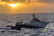PF abordou barco pesqueiro em alto mar 