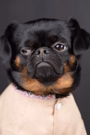 Charlie Griffon