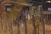 Invasão de terra na região da DF-001, km 41