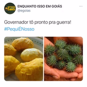 A página Enquanto Isso em Goiás soltou essa postagem assim que o governador do estado, Ronaldo Caiado (DEM), pronunciou-se nas redes sociais e expressou indignação com o projeto do deputado federal Delegado Marcelo Freitas (PSL-MG)