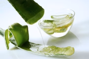 A babosa também é chamada de aloe vera