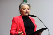 Íris de Araújo foi deputada federal pelo MDB entre 2007 e 2015