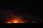 Bombeiros combateram as chamas durante o dia todo 
