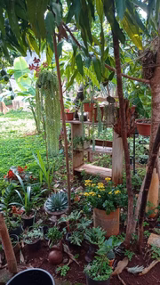 Quintal de Gustavina