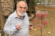 Lima Duarte