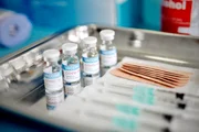 Segundo especialistas, a necessidade de reforçar as doses da vacina existe porque a imunidade contra o vírus não dura para sempre. Além do fato de o coronavírus apresentar grande potencial de mutação, muitas vacinas, como a da Covid, precisam ser reaplicadas de tempo em tempo para garantir a proteção necessária