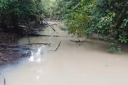 A área de Maloca Papiu contaminada pelo garimpo ilegal