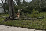 Casa de brasileira em Sarasota, na Flórida