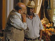 Na novela Velho Chico