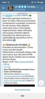 Grupo de Telegram dos 300 do Brasil