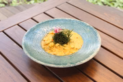 Risoto de pernil com queijo coalho do Mayer