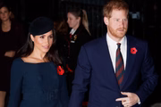 Meghan Markle e príncipe Harry não integram mais a família real