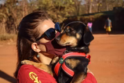 A cachorrinha Flor também sofreu com a queima de fogos sonoros 