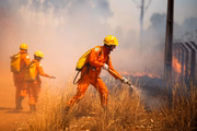 Em menos de 24 horas, perdeu-se mais de 1,2 mil hectares