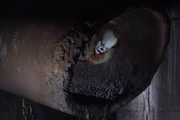 <b>"It: A Coisa". Estreia em 7 de setembro</b>. Pennywise, o maldito palhaço que assassina crianças, ressurge na adaptação em duas partes de um dos melhores livros de King. Uma sobre as crianças que conhecem e enfrentam "A Coisa", outra em que elas, já adultas, retornam à cidade natal para destrui-la. A primeira versão foi lançada em 1990, em minissérie de dois capítulos