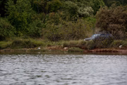 Os poucos locais de acesso à Orla do Lago Norte não são identificados com placas de sinalização