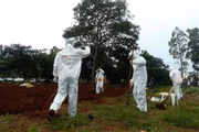 Goiás vive pico da pandemia. Mais de 95% das 246 cidades do estado estão em situação de calamidade